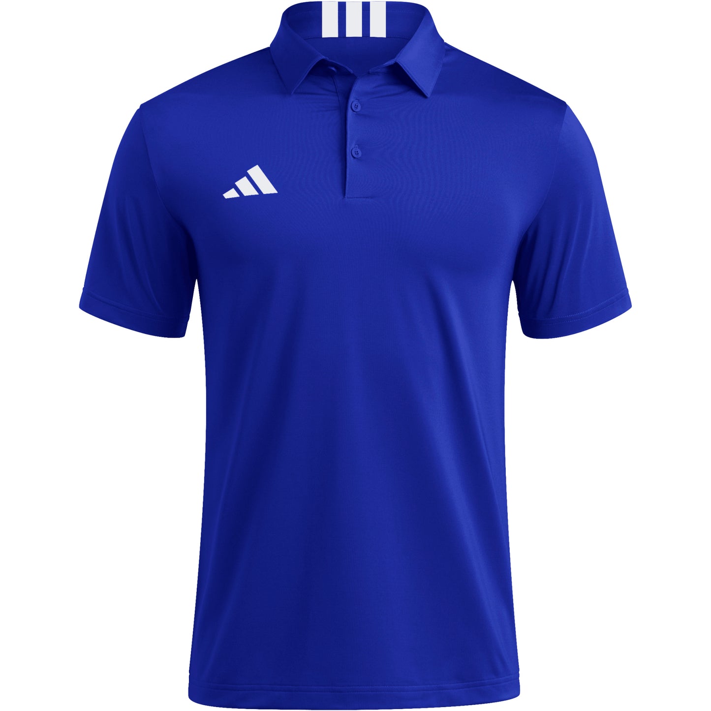 royal blue/white