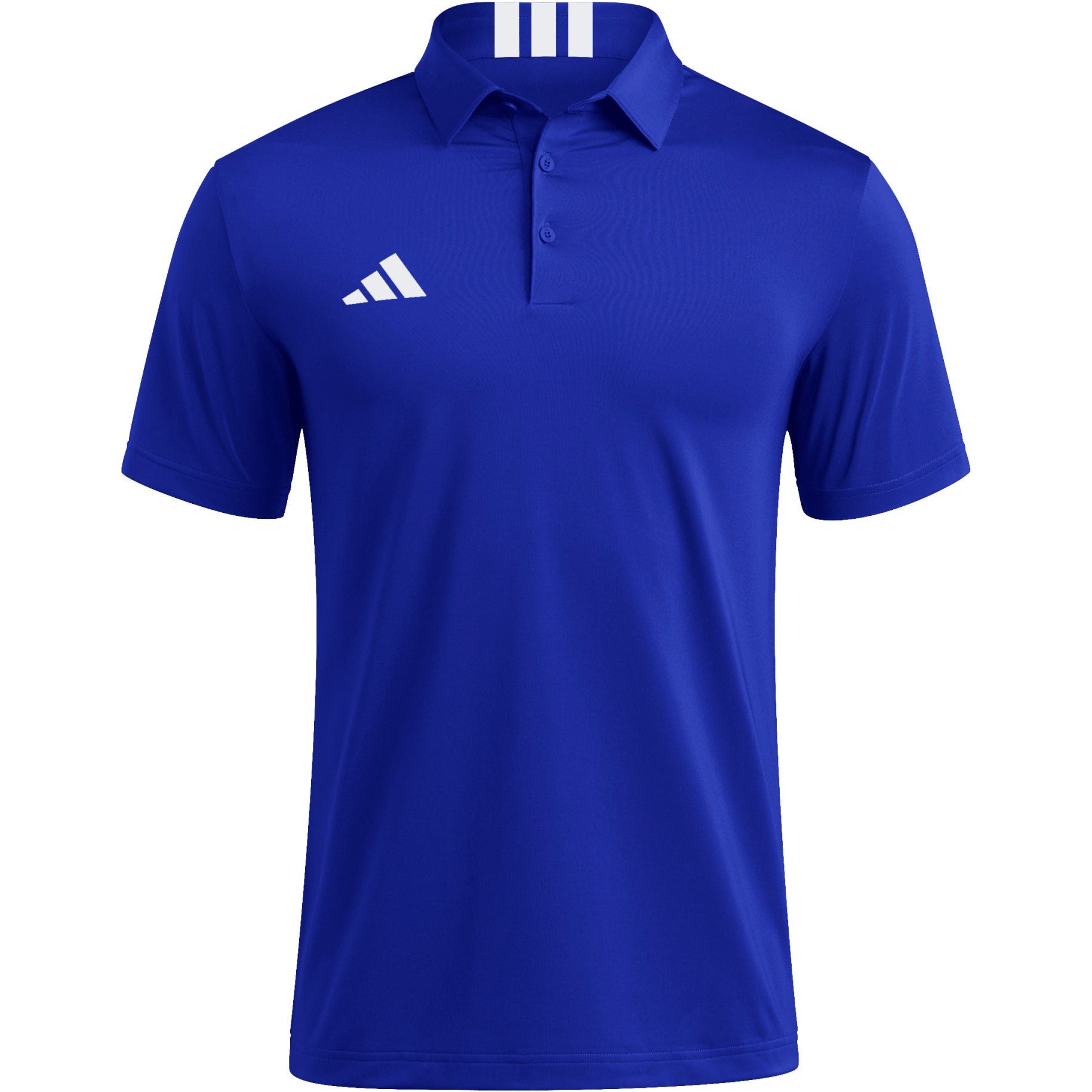royal blue/white