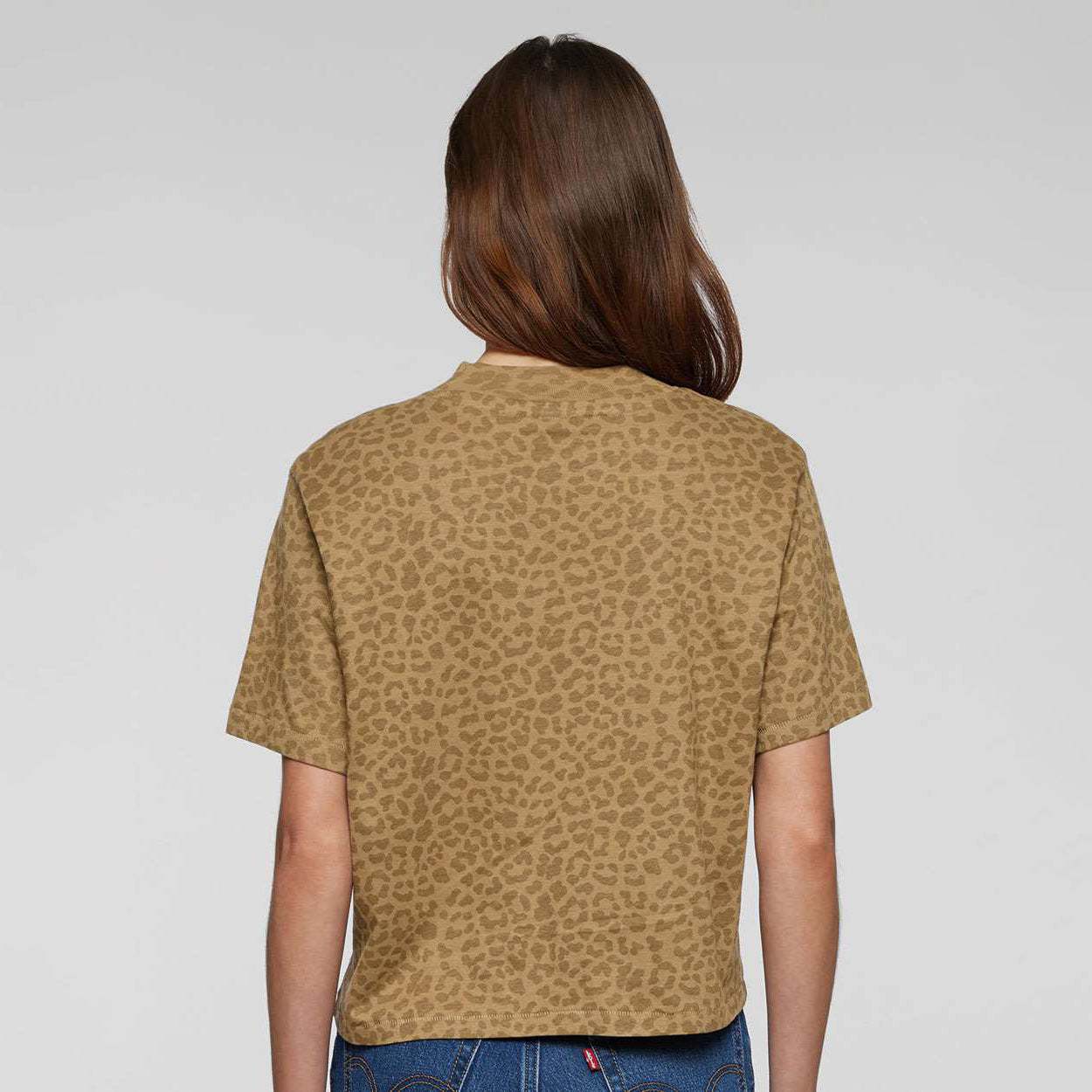 Brown Leopard